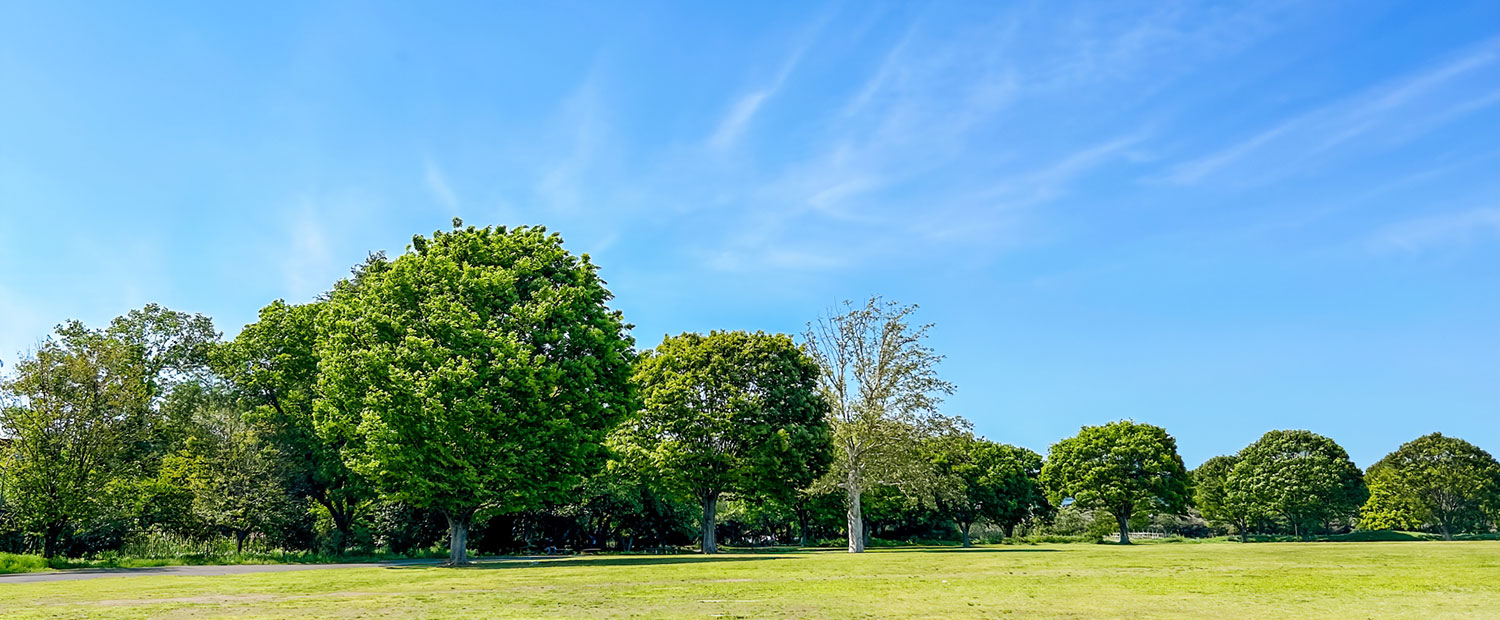 キービジュアルイメージ01